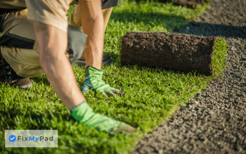 how much does it cost to lay turf