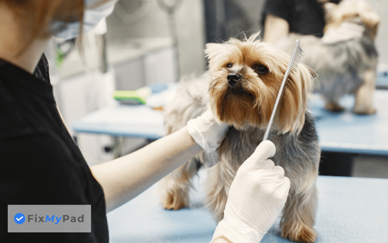 how much does it cost to groom a dog